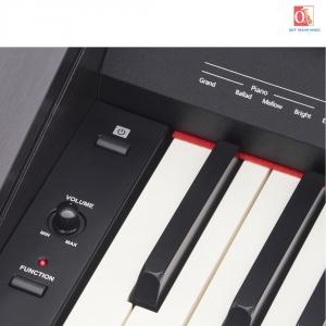 Đàn Piano Điện Roland RP30