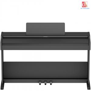 Đàn Piano Điện RP107 Đàn Piano Điện RP107