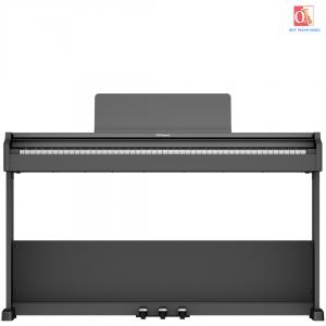 Đàn Piano Điện RP107 Đàn Piano Điện RP107