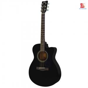 Đàn guitar Acoustic FS100C