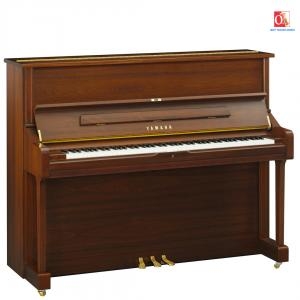 Đàn Upright Piano Acoustic Yamaha U1J