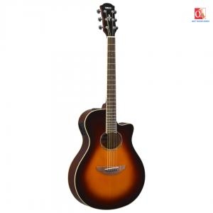 Đàn Guitar Acoustic Yamaha APX600