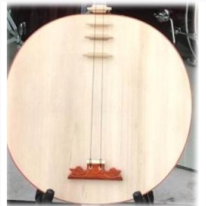 Đàn Nguyệt QT-N01